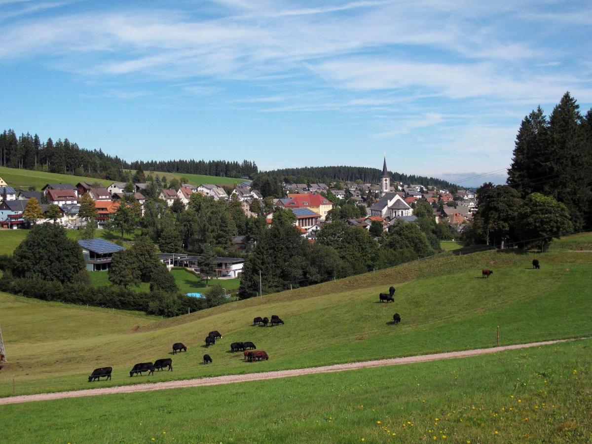 Landhotel Garni Schweizerhaus Schönwalde Dış mekan fotoğraf