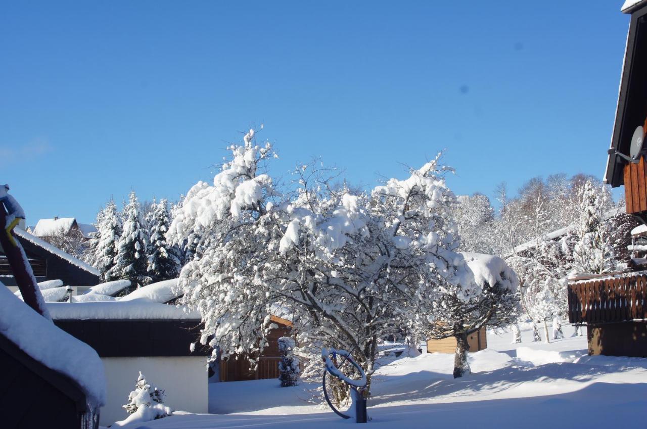 Landhotel Garni Schweizerhaus Schönwalde Dış mekan fotoğraf